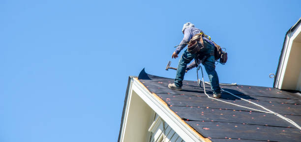 Best Roof Gutter Cleaning  in Geneva, NY